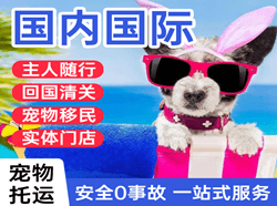 贵阳龙洞堡机场货运国际宠物托运 【国